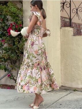 Cara Cara BLUSH DARBY Floral Ruffled Pink Maxi Dress XL